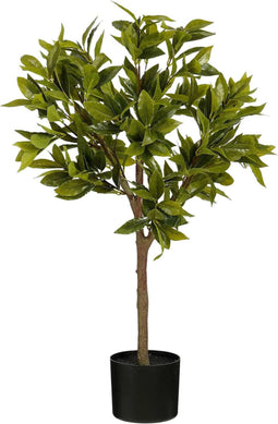 Mica Decorations Kunstplant Laurel - 25x25x90 cm - Polyethyleen - Groen