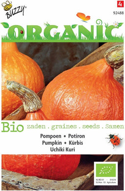 5 stuks - Buzzy - Organic Pompoen Uchiki Kuri (Skal 14725)