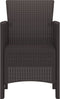 vidaXL - Tuinstoelen - 4 - stuks - Bruin - Poly - Rieten