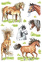 Etiket HERMA 3307 getekende paarden - 10 stuks