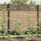 vidaXL - Spiraalplantsteunen - 50 - stuks - 150 - cm - Staal