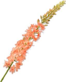 Silk-ka Kunstbloem-Zijden Bloem Eremurus Steel Zalm-Roze 107 cm