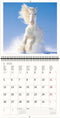 2026 Kalender schrijven 30 x 30 paarden - gratis 2025
