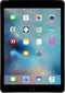 Apple iPad Air 2 - Wi-Fi + Cellular - 16GB - Grijs