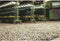 Brink en Campman - Rocks mix 70401 Vloerkleed - 250x350 - Rechthoek - Laagpolig,Structuur Tapijt - Modern - Meerkleurig