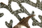 Wanddecoratie Home ESPRIT Gouden Zilverkleurig Koraal Mediterrane 49,5 x 5 x 48,3 cm (2 Stuks)