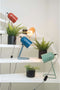 Leitmotiv Enchant - Tafellamp - Minimalistisch design - Groen 30x18cm