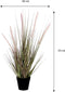 Mica Decorations Dogtail - Kunstplant Pluimgras - H53 x Ø30 cm - Paars