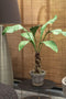 Silk-ka Kunstplant Anthurium Superbum op stam Zijde Groen 140 cm