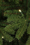 Black Box Trees Brampton Kunstkerstboom met LED Verlichting - H215 x Ø142 cm - Groen