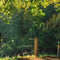 Customize it - Tuinschilderij morning md 130x70