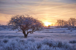 Customize it - Tuinschilderij winter wnderl 130x70