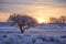 Customize it - Tuinschilderij winter wnderl 130x70