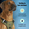 Jake and Jacky Hondentuigje - Anti-Trek Tuig - Y Tuig Hond - Reflecterend - Groen - Maat L
