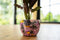 TS Collection - Bloempot Polly pink - 28x25 - Metaal & Epoxy - Exclusieve woonitems voor binnen - Handgemaakt - Unieke print - Designed by Lammie