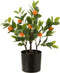 J-Line sinaasappelboom in pot - kunststof - oranje/groen - small