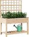 vidaXL - Tuinbak - met - Trellis - en - Plank - 115x59x152 - cm - Massief - Hout - Vuren