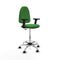 Piqueras y Crespo B2D05RP - Bureaustoel - Hoogteverstelbaar met armleuning - Groen