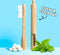 CHOOSE Bamboe Tandenborstel Set - 2x Bamboe Tandenborstel - Tandenborstelhouder