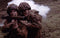 Band Of Brothers - Blu-ray - Klassieker over Easy Company (2001)