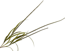 Silk-ka Kunstbloem Groentak-Gras Bruin-Groen 135 cm