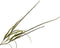 Silk-ka Kunstbloem Groentak-Gras Bruin-Groen 135 cm