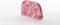 Oilily-Toilettas S Vanilla-Dames
