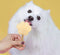Smoofl puppy traktaties - Puppy navulset om jouw eigen honden ijs te maken, gezonde puppy snack met verfrissend effect, 2 mixes met Appel smaak en 10 eetbare kauwstaafjes
