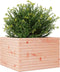 vidaXL - Plantenbak - 70x70x46 - cm - massief - douglashout