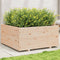 vidaXL - Plantenbak - 100x100x49,5 - cm - massief - grenenhout