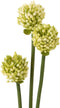 J-Line bundel Ajuinbloem - kunststof - lichtgeel