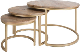 3 Salontafels - Bruin & Goud - Mangohout & Metaal - Rootsmann