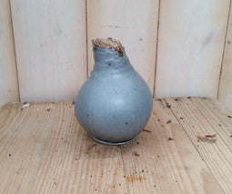 3 stuks Amaryllisbol zilver in wax