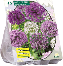 3 stuks - Baltus - Allium mix Paars-Wit