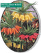 3 stuks - Baltus - Fritillaria Imperialis mixed per 3 bloembollen