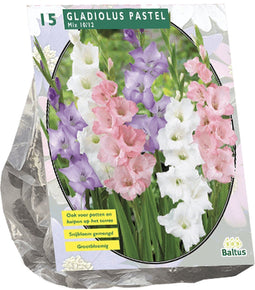 3 stuks - Baltus - Zomer Bloembollen Gladiolus Pastel Mix per 15