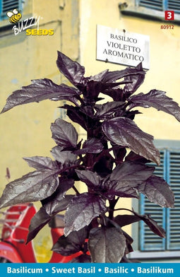 3 stuks Basilico violetto aromaticoBuzzy