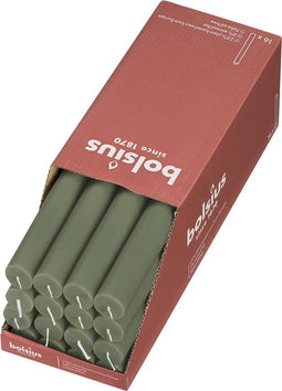 3 stuks - Bolsius - Tafelkaars Foggy Green doos 16