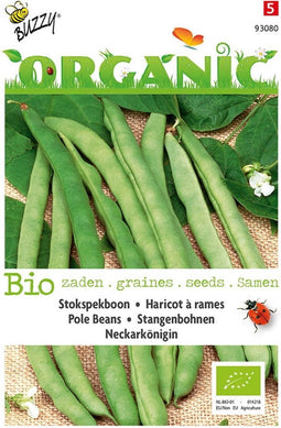 3 stuks - Buzzy - Organic Stokspekboon Neckarkonigin (BIO)