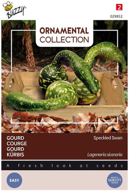 3 stuks - Buzzy - Ornamental gourd speckled swan