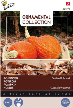 3 stuks - Buzzy - Ornamental pompoen golden hubbard