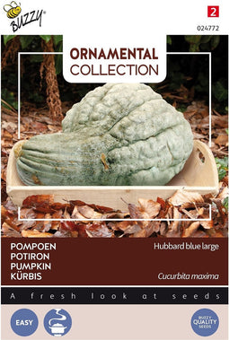 3 stuks - Buzzy - Ornamental pompoen hubbard large blue