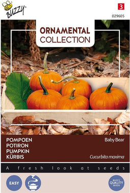 3 stuks - Buzzy - Ornamental wintersquash baby bear