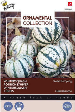 3 stuks - Buzzy - Ornamental wintersquash sweet dumpling