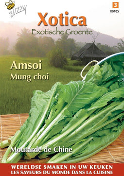 3 stuks - Buzzy - Xotica amsoi mung choi