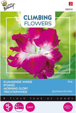 3 stuks Flowering climbers ipomoea dubbel roseBuzzy