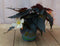3 stuks! Hangbegonia eenjarige plant licht wit- roze achtig