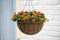 3 stuks Hanging basket metaaldraad groen geepoxeerd incl. ketting H13x dia. 25cm