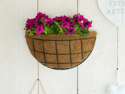 3 stuks Hanging basket metaaldraad groen geepoxeerd