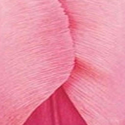 3 stuks - JUB - Tulipa Pink Impression 8 bollen